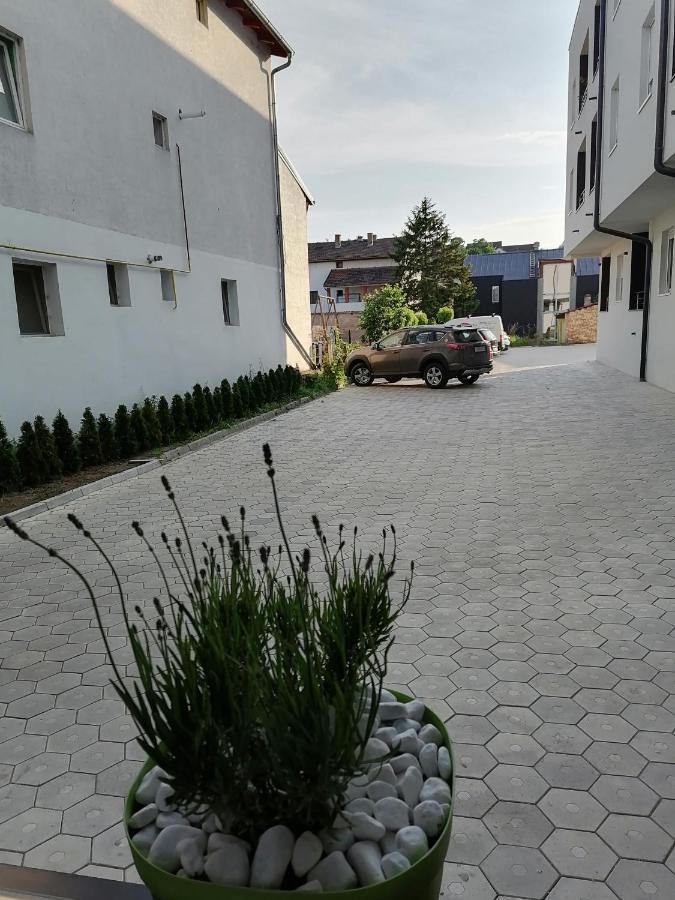 Apartman Stimac Петроварадин Екстериор снимка